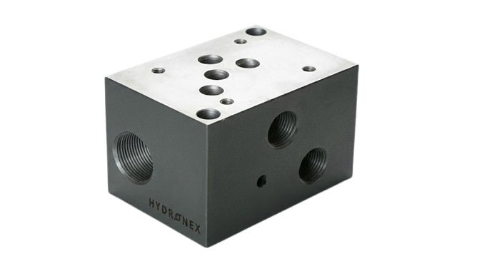 Manifold Block