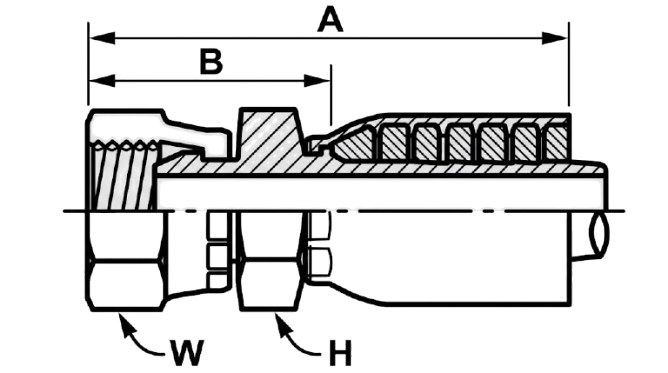 22111D-F FEMALE BSP PARALLEL PIPE 60° CONE ISO 228-1